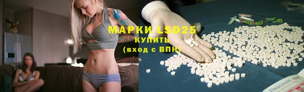 мяу мяу мука Алексеевка