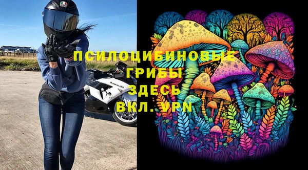 каннабис Алзамай