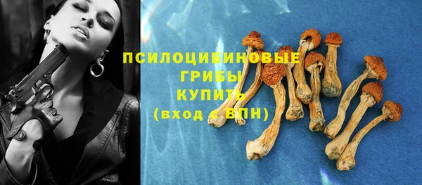 герыч Алексин